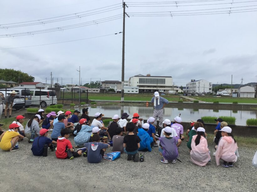 田植えしました！！(5年生)