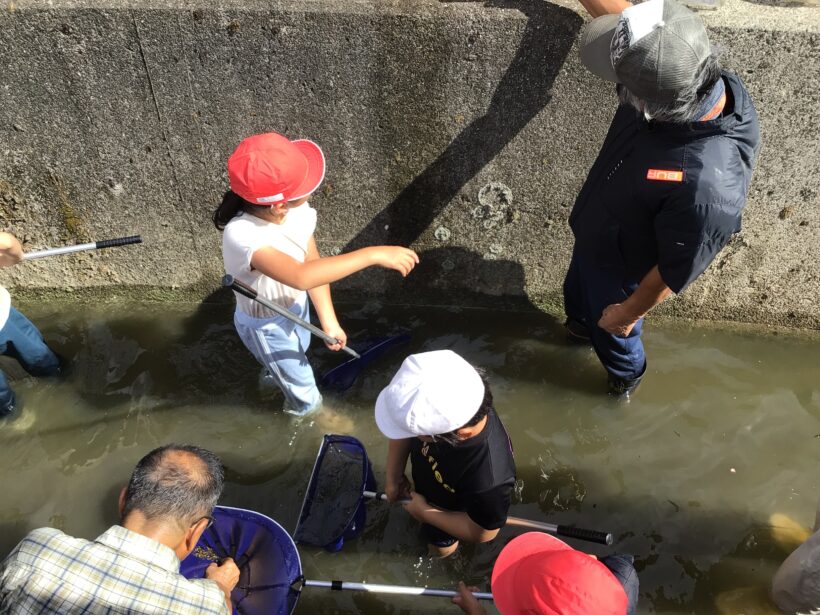 生き物調査(４年生)