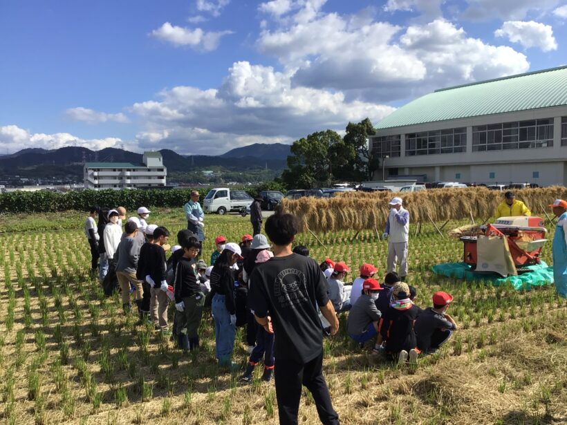 脱穀体験(５年生)