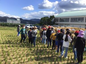 脱穀体験(５年生)