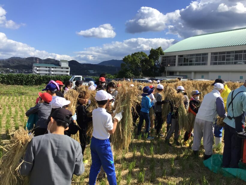 脱穀体験(５年生)