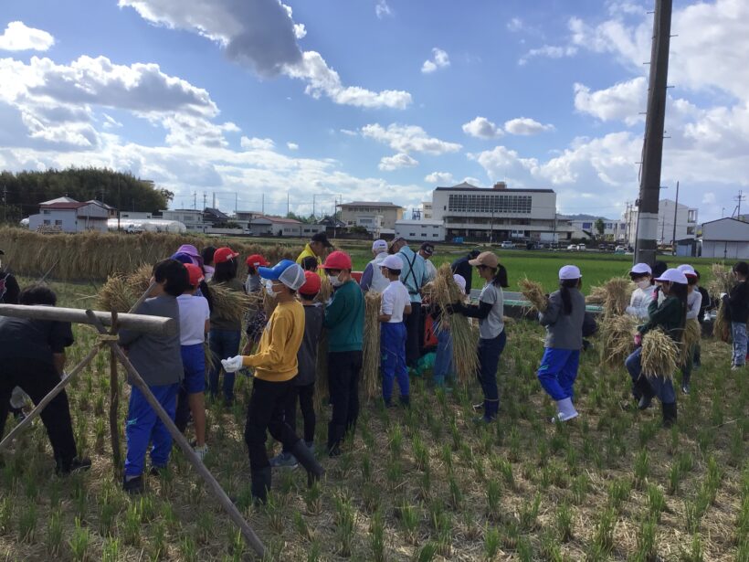 脱穀体験(５年生)