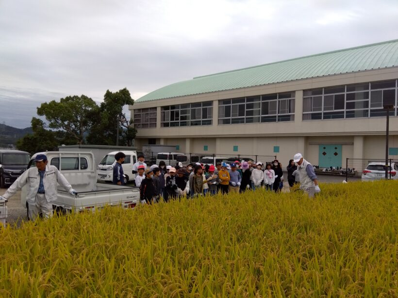 稲刈り体験(５年生)