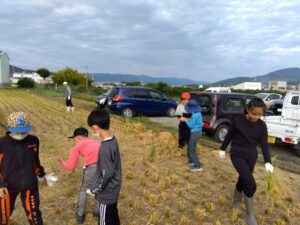 稲刈り体験(５年生)