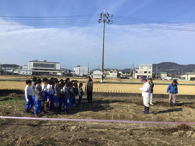 ジャガイモ掘り　（3年生）12月17日(水)