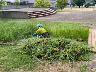 夏休み中の職員作業