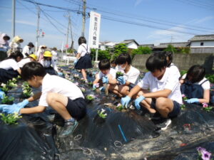 花の苗植え
