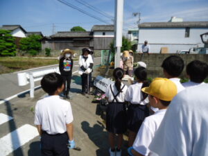 花の苗植え