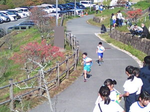 第１５回桃源郷駅伝競走大会