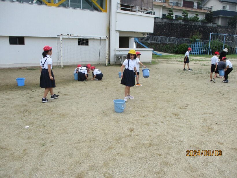 運動場の石拾い