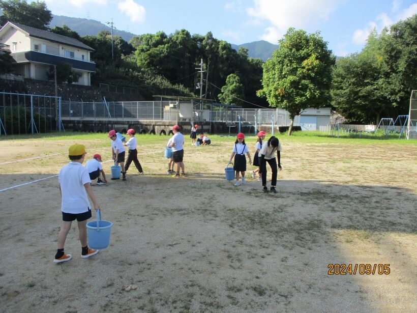 運動場の石拾い２