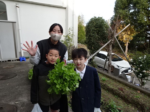 ２年生「野菜の収穫」と「調理実習」