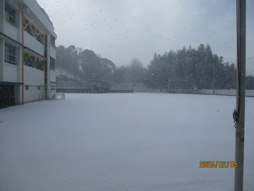 雪が積もりました。