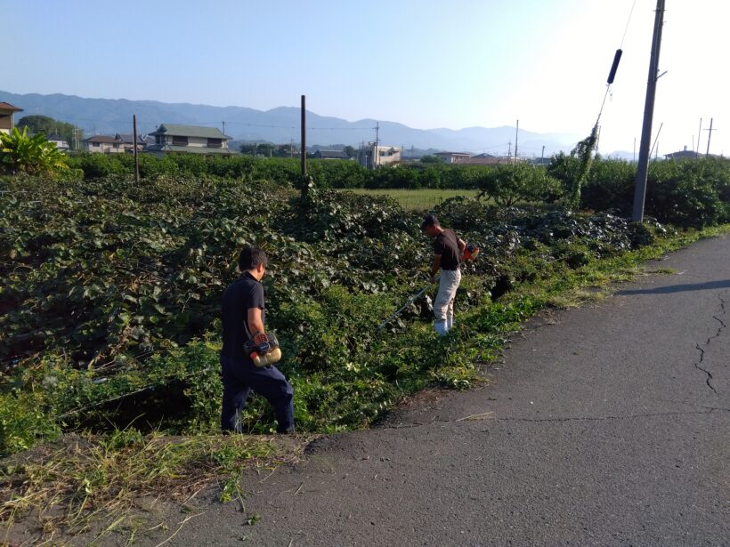 通学路草刈り作業＆環境整備