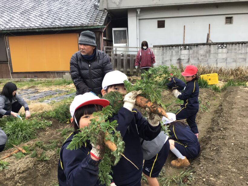 ニンジン収穫（１・６年）