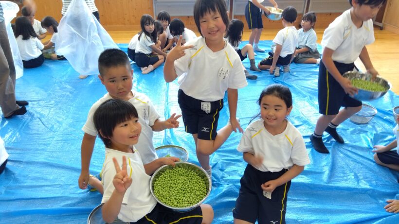 エンドウ豆の皮むき