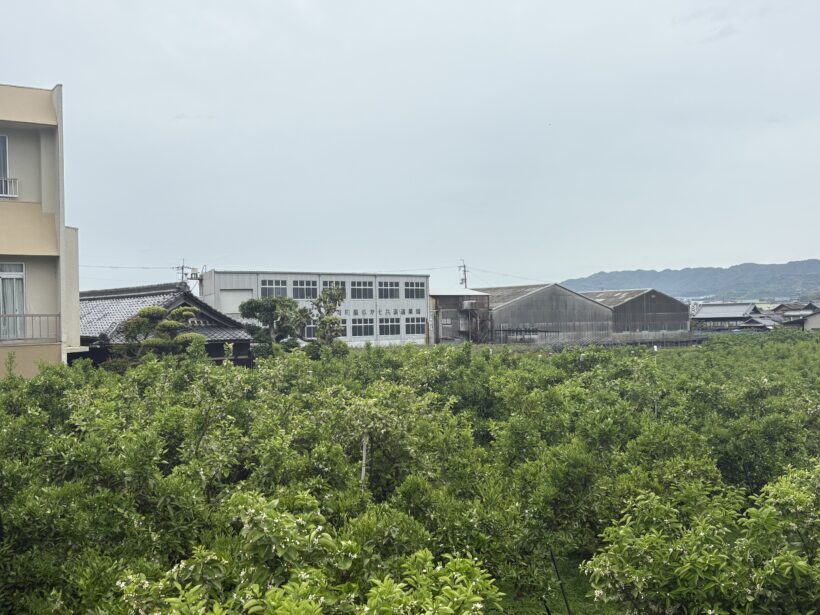 校区探検(3年生）