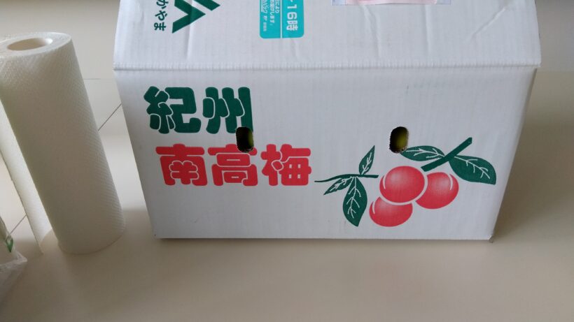 南高梅の加工