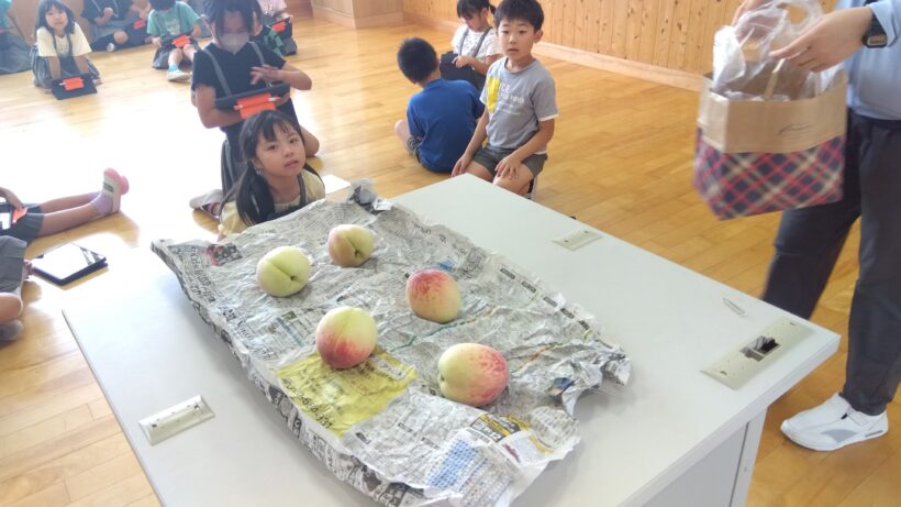 竜門早生を調べよう(3/4年)