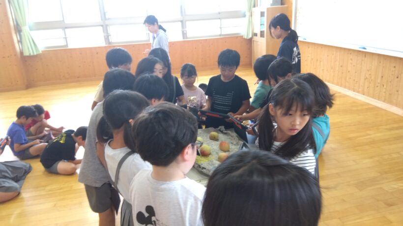 竜門早生を調べよう(3/4年)