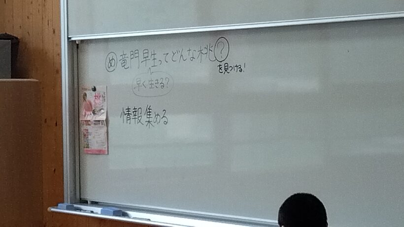 竜門早生を調べよう(3/4年)