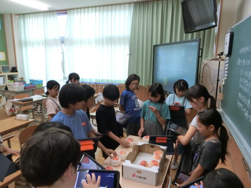 竜門早生を調べよう2(3/4年生)