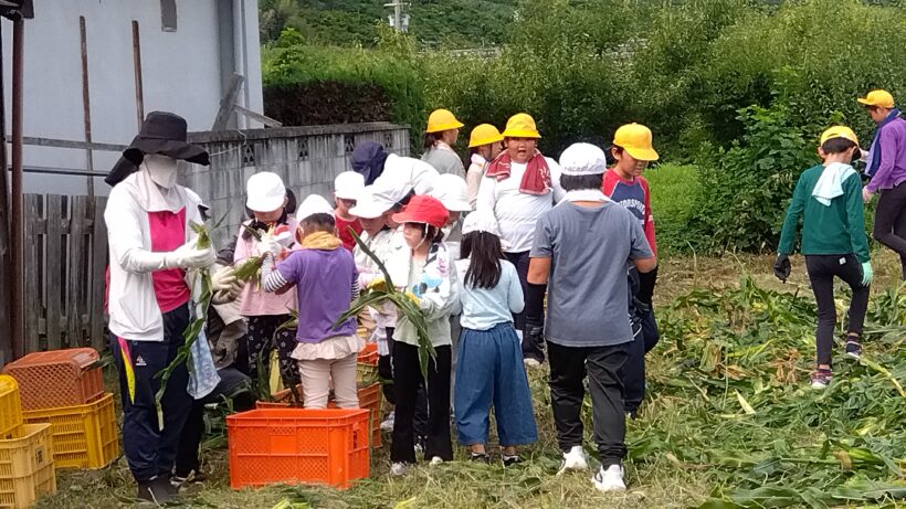 とうもろこし収穫&作付け会議(2・5年)