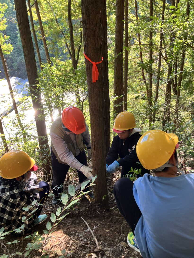 森林体験（５/６年）