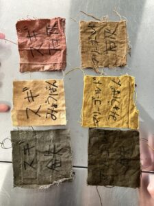 森林体験（５/６年）