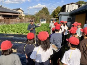 タマネギ植え（３/４年生）