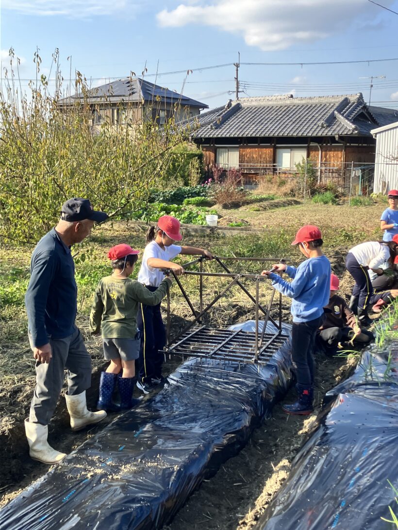 タマネギ植え（３/４年生）