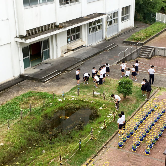 紀の川市立田中小学校画像3