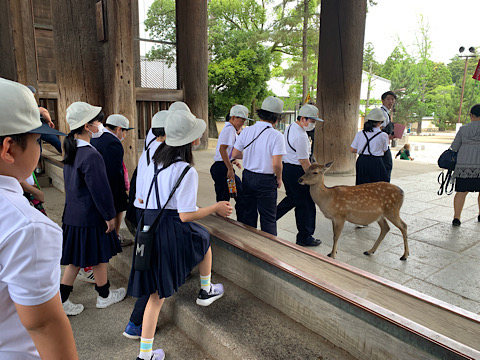 修学旅行（東大寺）