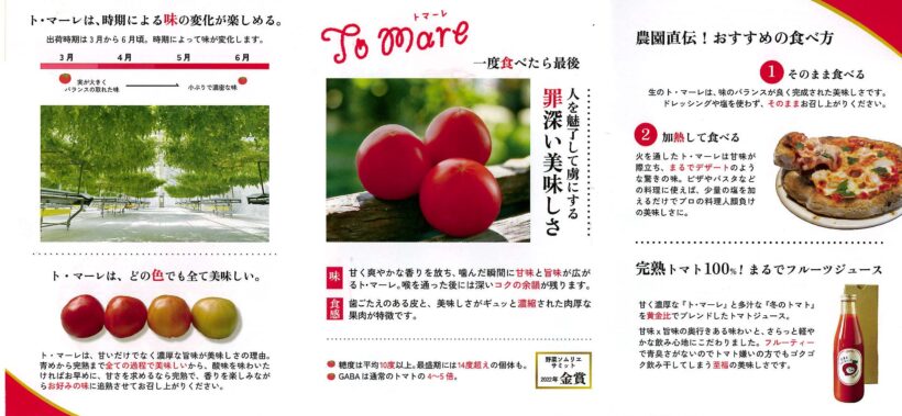 10/29 今日の田中小