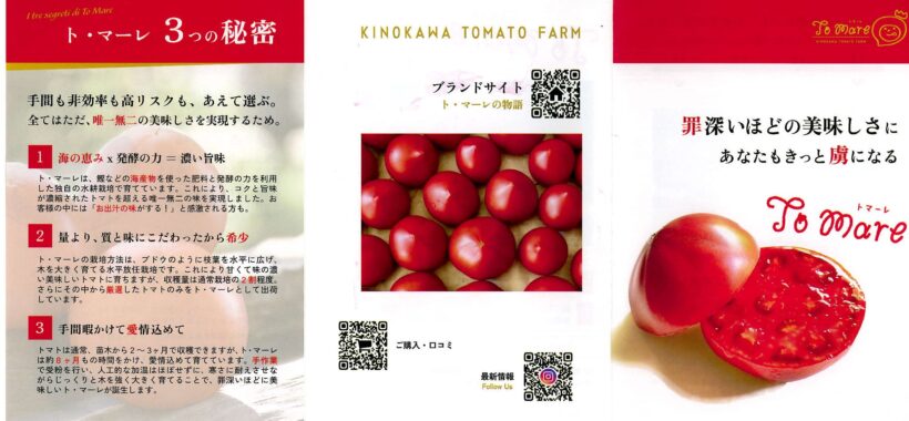 10/29 今日の田中小