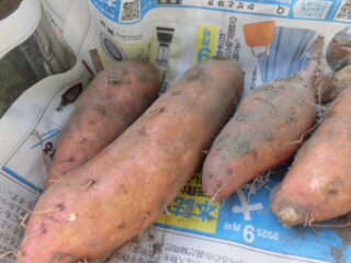 10/27　今日の田中小