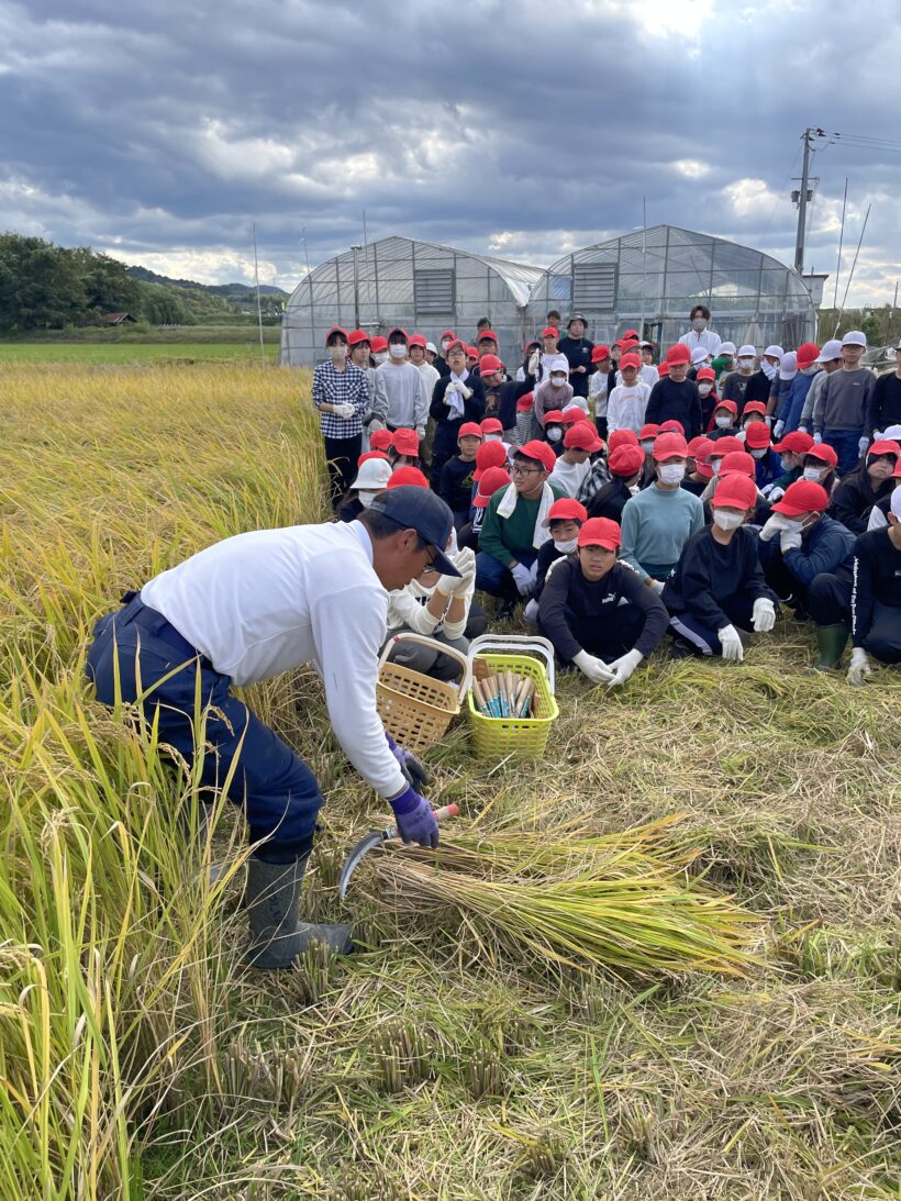 10/28 今日の田中小