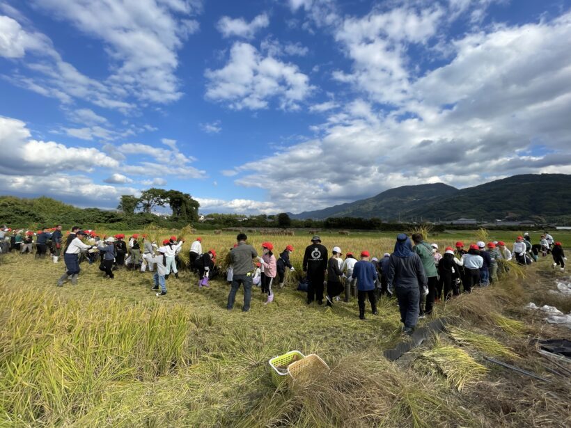 10/28 今日の田中小