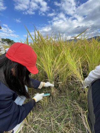 10/28　今日の田中小