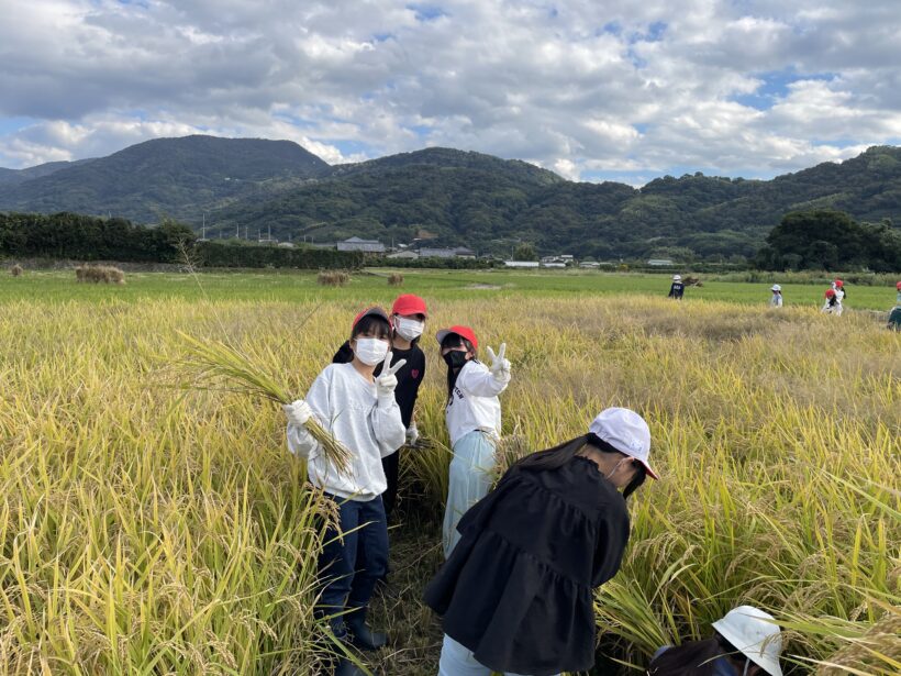10/28 今日の田中小