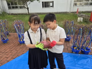 10/28 今日の田中小