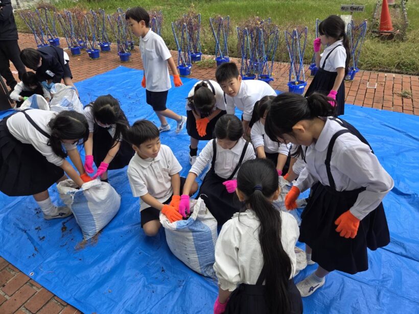 10/28 今日の田中小