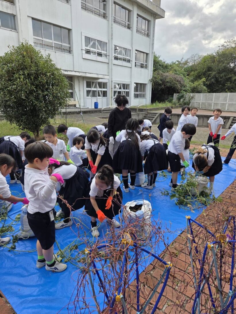 10/28 今日の田中小