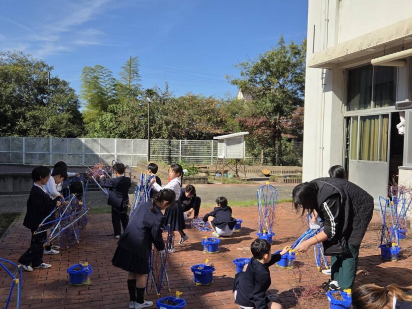 10/30 今日の田中小