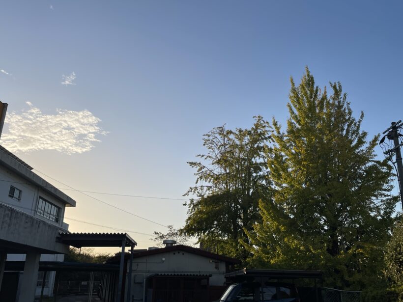 11/11 今日の田中小