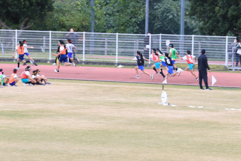 11/5　今日の田中小