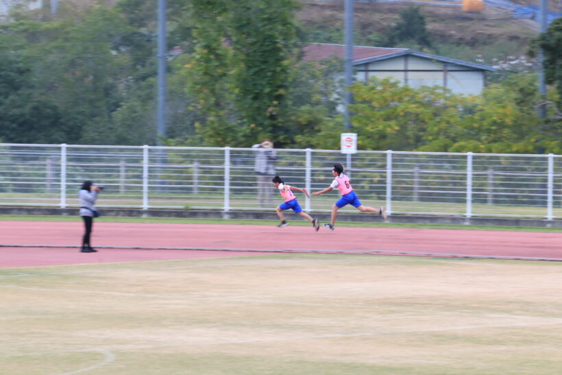 11/5　今日の田中小