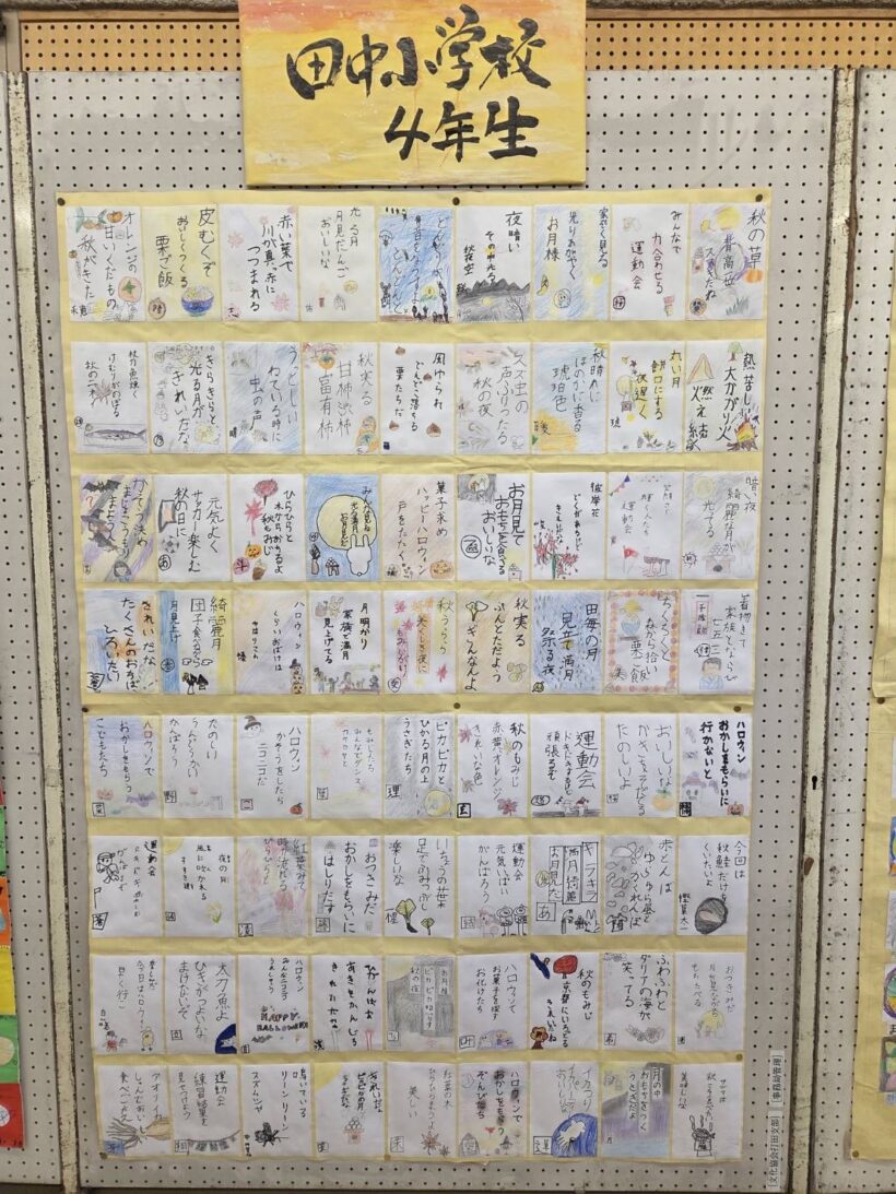 11/4 今日の田中小