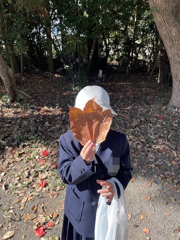 11/19　今日の田中小