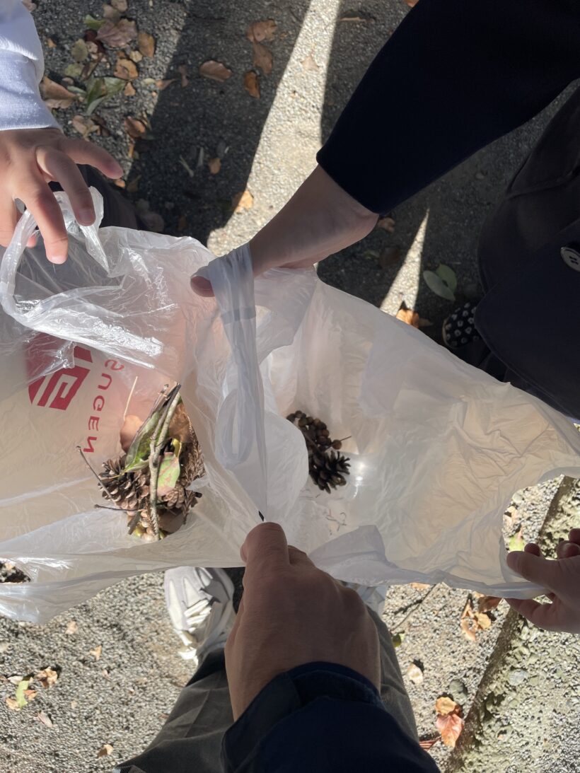 11/19　今日の田中小